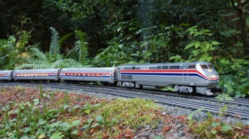  Amtrak #811, (P40DC) and Amfleet passenger cars 